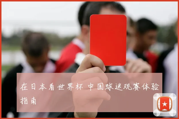 在日本看世界杯 中国球迷观赛体验指南