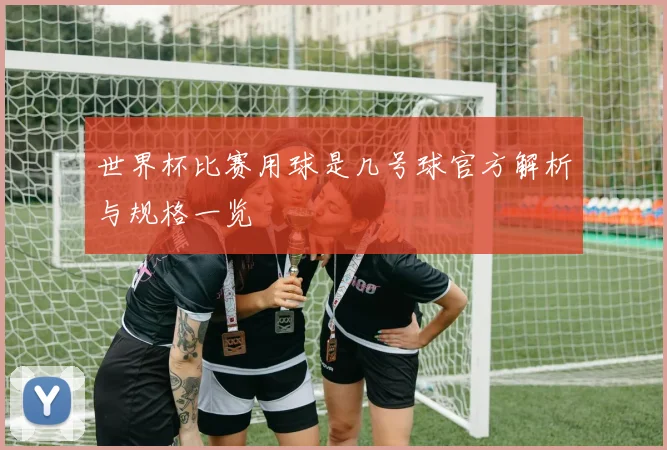 世界杯比赛用球是几号球官方解析与规格一览