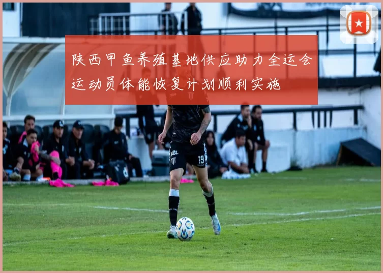 陕西甲鱼养殖基地供应助力全运会运动员体能恢复计划顺利实施