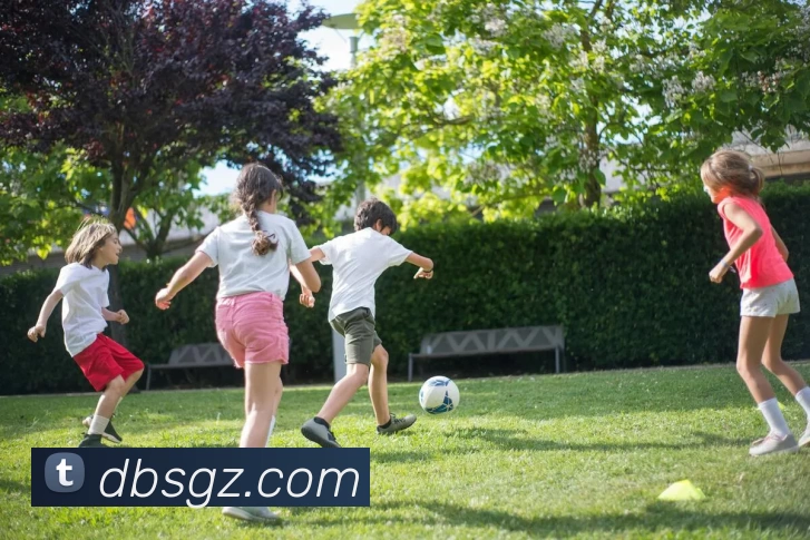 App Interface Preview